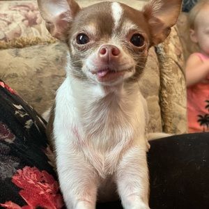 Meet your Posher, Jacqueline